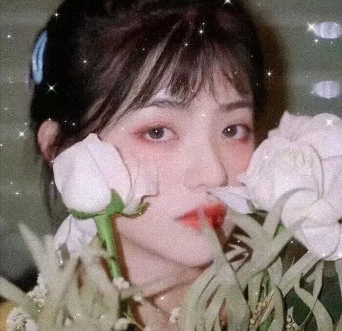 巴洛可